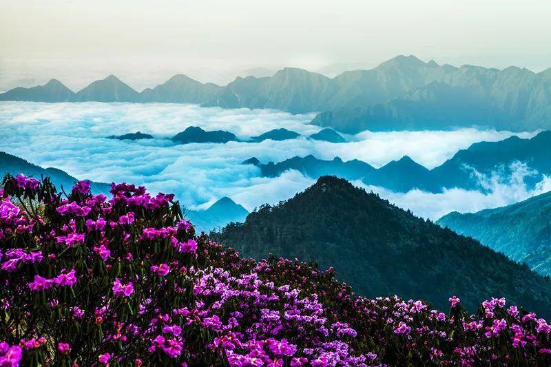 家庭版的烤鱼怎么做才好吃？